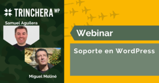 Soporte en WordPress
