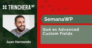 Qué es Advanced Custom Fields