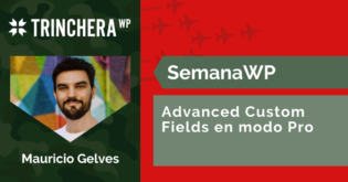 Advanced Custom Fields en modo Pro