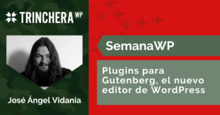 Plugins para Gutenberg, el nuevo editor de WordPress