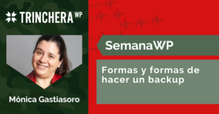 Formas y formas de hacer un backup