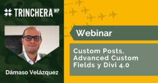 Custom Posts, Advanced Custom Fields y Divi 4.0