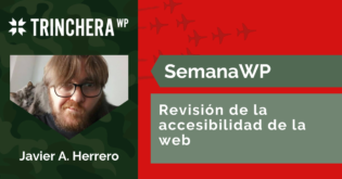 Revisión de la accesibilidad web