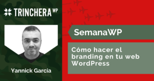 Cómo hacer branding en tu web WordPress