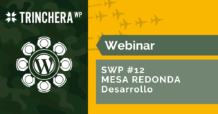 Mesa Redonda «Desarrollo»