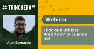 ¿Por qué utilizar Webflow? (y cuando no)