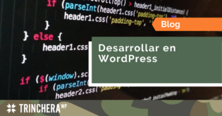 Desarrollar en WordPress - Trinchera WP