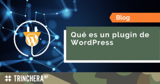 Qué es un plugin de WordPress - Trinchera WP