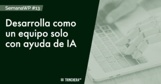 IA Desarrollo - Trinchera WP